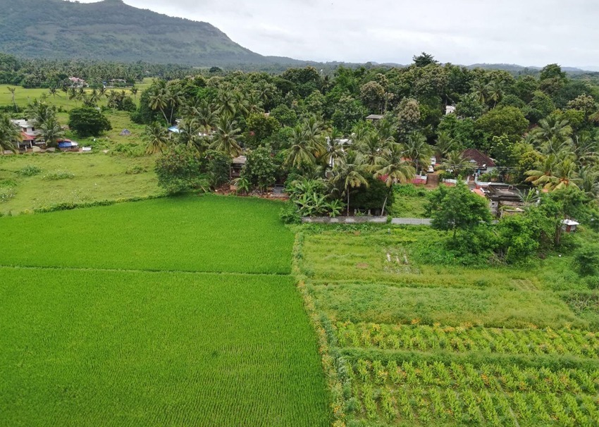 SA Homes balcony view from affordable apartments near me in Palakkad